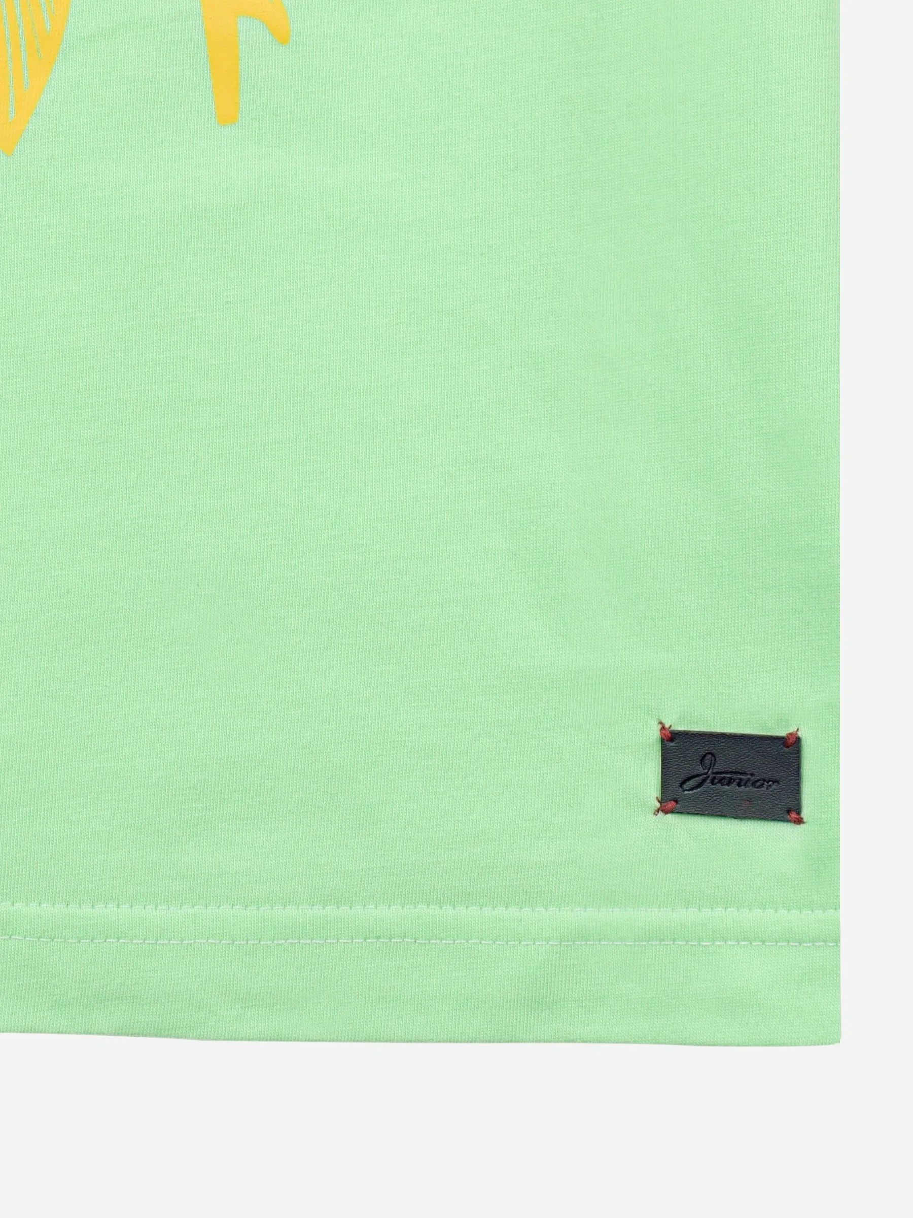 Mint Green Graphic Printed Casual T-shirt