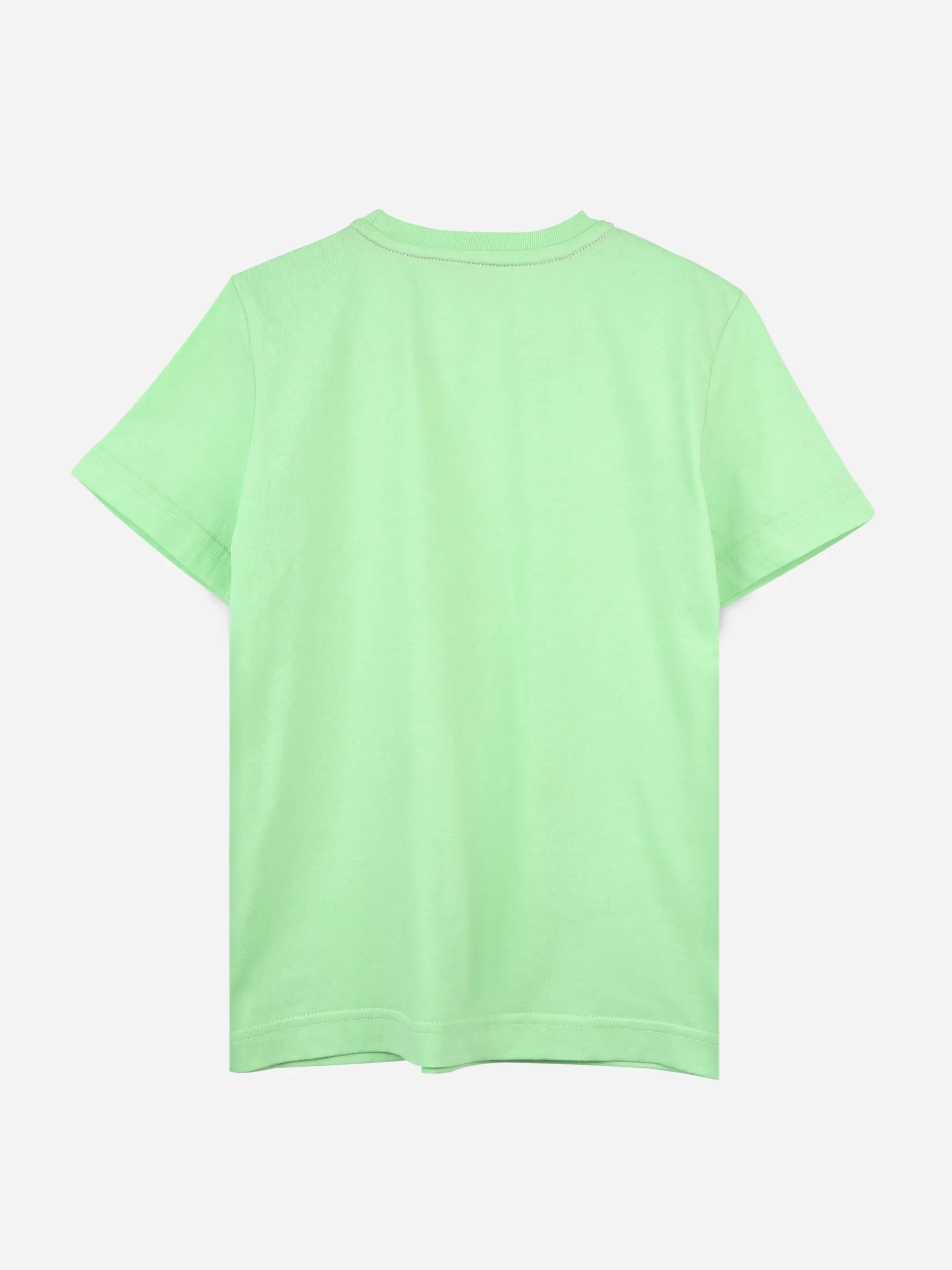 Mint Green Graphic Printed Casual T-shirt